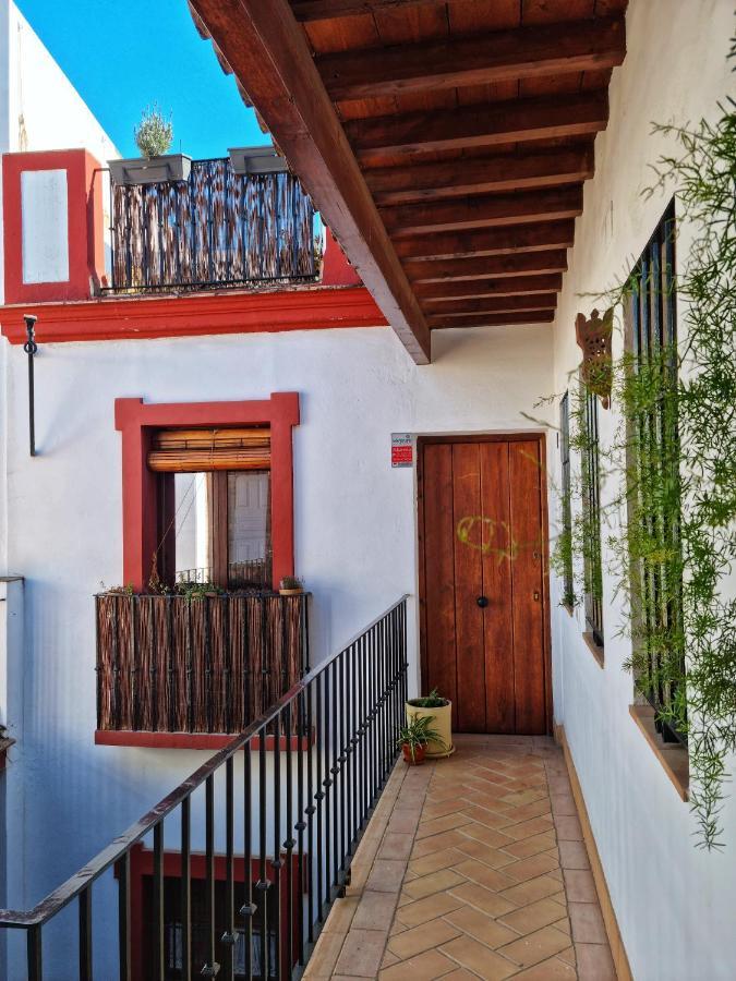 Loft & Private Rooftop With Bbq Σεβίλλη Εξωτερικό φωτογραφία